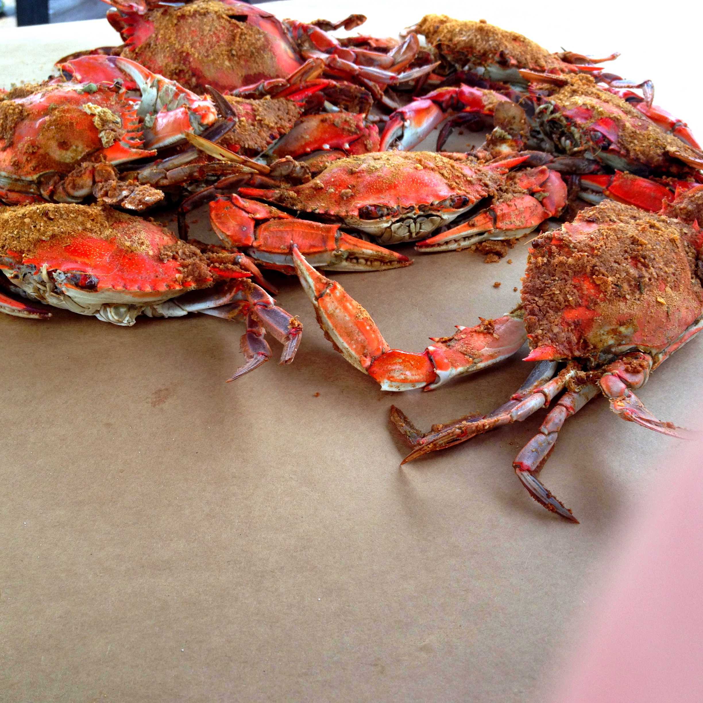 Our supper guests were crabby.